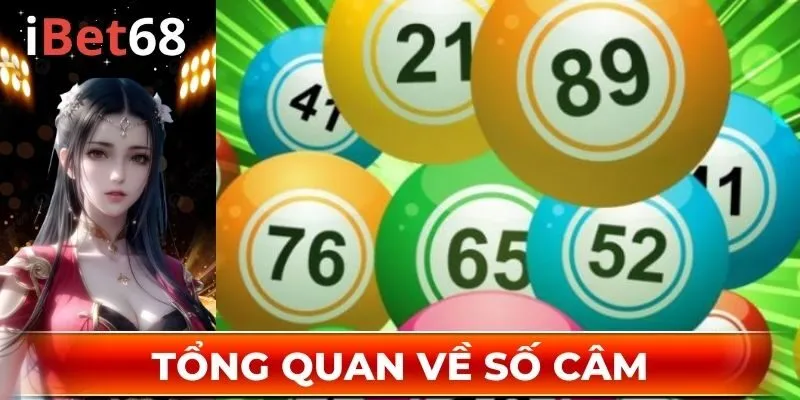 Tổng quan về số câm